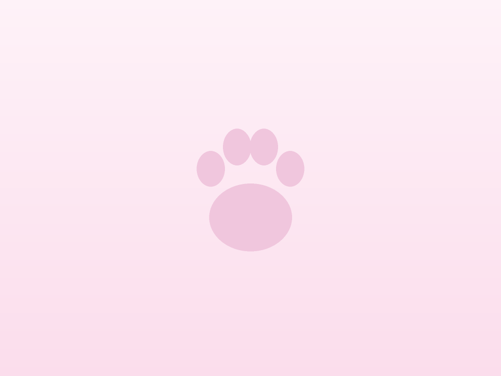 Cucciolo di Bouledogue Francese fawn seduto
