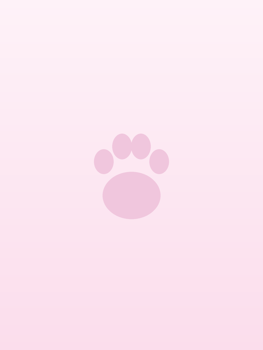 Cucciolo di Pomerania tenuto in braccio nell allevamento